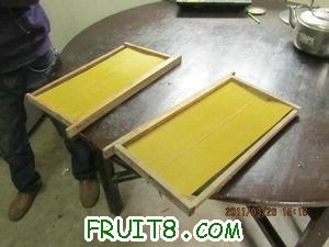 IMG_8379.JPG