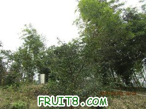 IMG_8365.JPG