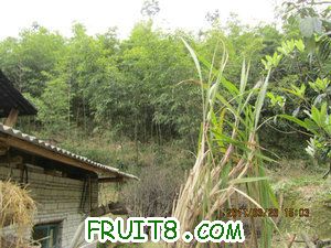 IMG_8367.JPG