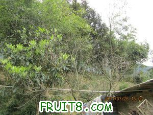 IMG_8370.JPG