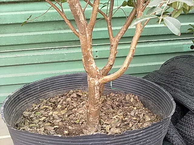 20110327152.jpg