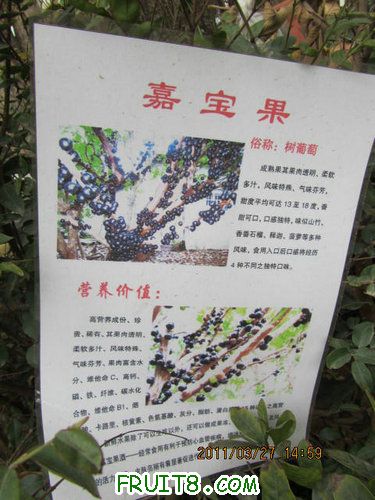 IMG_8673.JPG