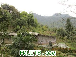 IMG_8404.JPG