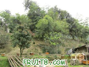 IMG_8396.JPG