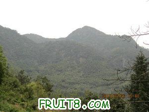 IMG_8407.JPG
