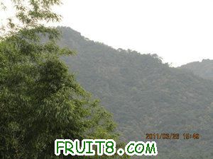 IMG_8408.JPG