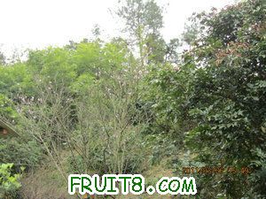 IMG_8409.JPG