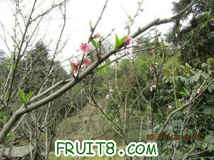 IMG_8413.JPG