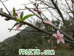 IMG_8415.JPG