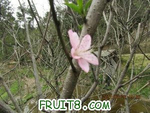IMG_8414.JPG
