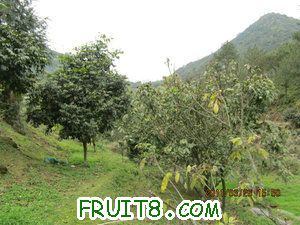 IMG_8416.JPG