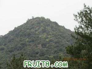 IMG_8418.JPG