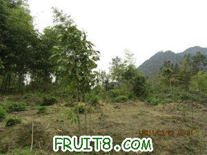 IMG_8421.JPG