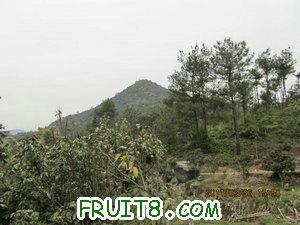 IMG_8417.JPG
