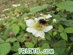 IMG_8423.JPG