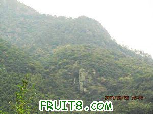 IMG_8432.JPG