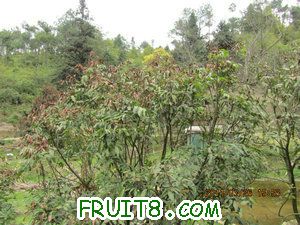 IMG_8437.JPG
