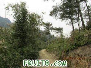 IMG_8445.JPG