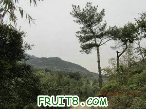 IMG_8446.JPG