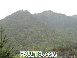 IMG_8448.JPG