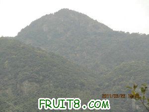 IMG_8450.JPG