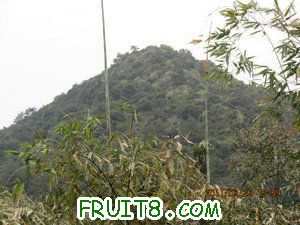 IMG_8451.JPG