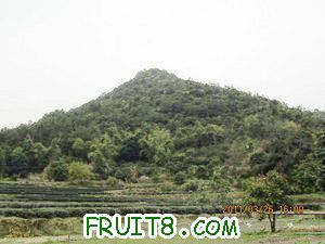 IMG_8455.JPG