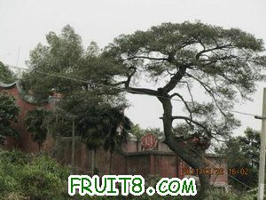 IMG_8460.JPG