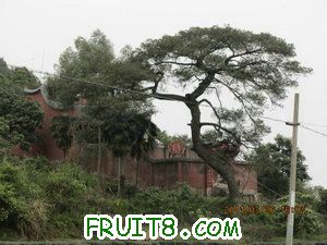 IMG_8459.JPG