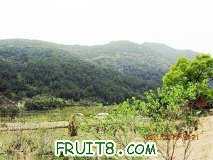 IMG_8462.JPG