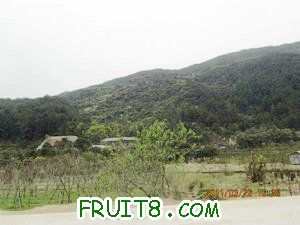 IMG_8468.JPG