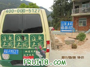 IMG_8464.JPG