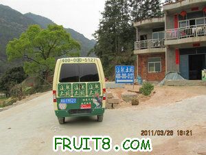 IMG_8463.JPG