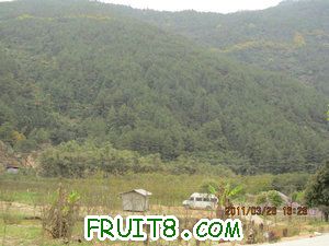 IMG_8470.JPG