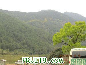 IMG_8469.JPG
