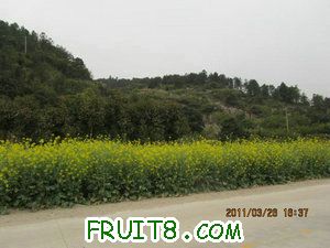 IMG_8481.JPG