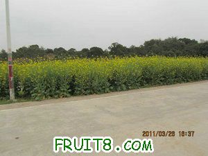 IMG_8476.JPG
