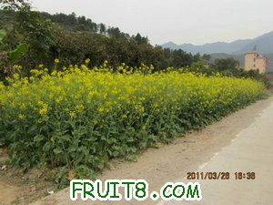 IMG_8471.JPG