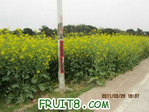 IMG_8479.JPG