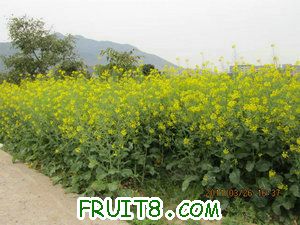 IMG_8477.JPG