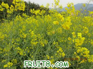 IMG_8490.JPG