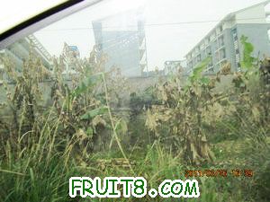 IMG_8494.JPG