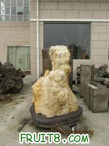 IMG_8497.JPG