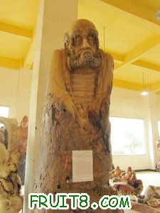 IMG_8511.JPG