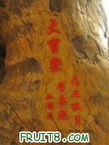IMG_8513.JPG