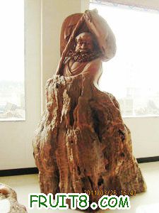 IMG_8521.JPG