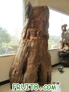 IMG_8526.JPG
