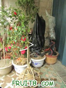 IMG_8537.JPG