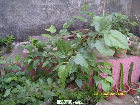 С SI851827.JPG