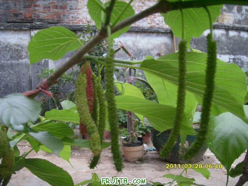 С SI851809.JPG